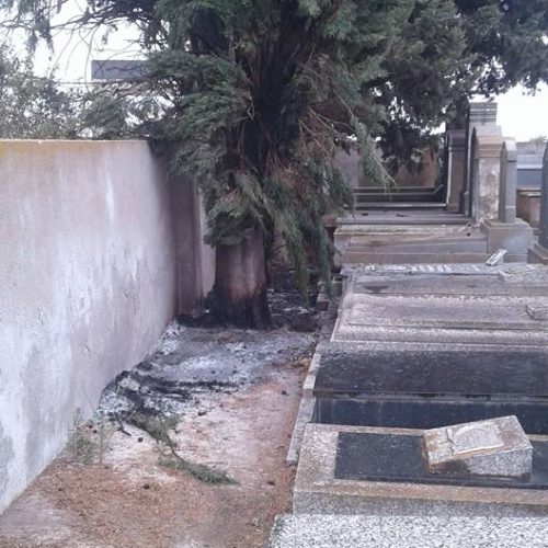 Cementerio Israelita De Bernasconi Y Colonia Narcise Leven